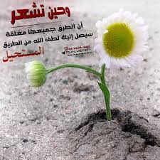 وحين تشعر أن الطرق جميعها مغلقة plants cab