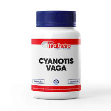 Image result for Cyanotis vaga