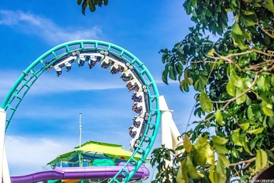 Dreamworld - Let's turn things upside down! The Gold Coaster, snapped by  jackhiltoncreative.