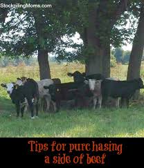 Résultat de recherche d'images pour "side of beef"