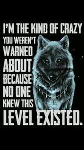 Pin By Joanna On Quotes Warrior Quotes Wolf Quotes Lone Wolf Quotes