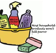 Maybe you would like to learn more about one of these? How Long Does Dog Parvo Last In Your Home Or Yard Pethelpful