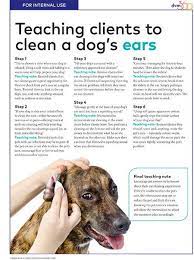 Cleaning Dog Ears Cleaning Dogs Ears Dog Ear Dog Allergies