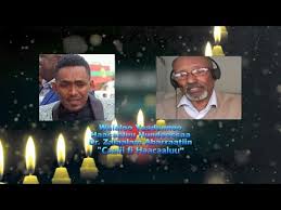 Entdecke rezepte, einrichtungsideen, stilinterpretationen und andere ideen zum ausprobieren. Dr Zelalem Abera Walalloo Dr Zelalem Abera Walalloo Walaloo Dr Zelealem Hammammoo Walaloo Miidhagaafi Ergaa Guddaa Of Willemiskandarbatak