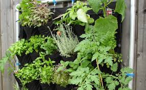 Clôturer son jardin, sa terrasse ou son balcon demande de choisir la bonne forme et le bon matériau. Comment Creer Une Haie Sur Sa Terrasse