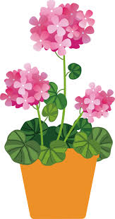 Fleurs Flores Flowers Bloemen Png Flower Collage Flower Clipart Flower Painting