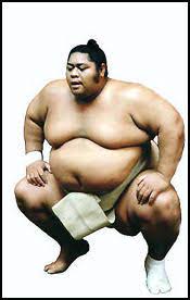 We did not find results for: Famous American And Foreign Sumo Wrestlers Konishiki Takamiyama Akebono And Musashimaru Facts And Details