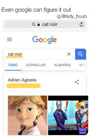 Miraculous Ladybug And Chat Noir Funny Memes Miraculous Ladybug Comic Miraculous Ladybug Memes Miraculous Ladybug