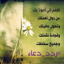 اللهم اني اعوذ بك من زوال نعمتك وتحول عافيتك تويتر Ip Wp L Alqhtani On Twitter Ngredat Islam اللهم إني أعوذ بك من زوال نعمتك وتحول عافيتك وفجاءة نقمتك وجميع سخطك ردد دعاء Http T Co Cg9ckpnaqe