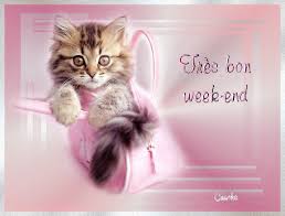 Résultat de recherche d'images pour "bon week end"