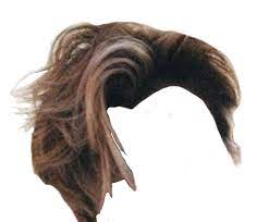 Png Niche Hair Hair Hair Png Front Hair Styles