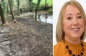 Ballinakill Archives