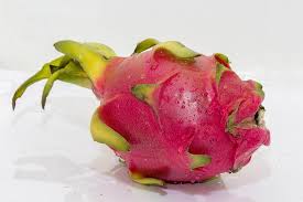 La pitaya è litofita (cresce e si sviluppa utilizzando come supporto le rocce) o semi epifita (vive su altre piante che utilizza come semplice sostegno). Come Coltivare Frutto Del Dragone O Pitaya