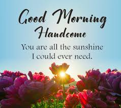 A collection of good morning images, pictures, comments for facebook, whatsapp, instagram and more. 200 Good Morning Messages Wishes Quotes Wishesmsg
