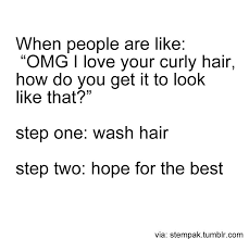 Saw This On My Fb Feed And Had To Laugh At How Many Steps Are Left Out Hair Quotes Funny Curly Hair Quotes Funny Quotes
