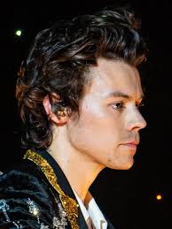 Pin By Slytting On Harry 1d Harry Styles Pictures Harry Styles Cute Harry Styles Hot