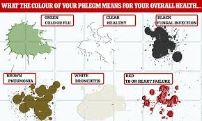 Names for colors other than those shown on the. Phlegm Colour Chart What Your Mucus Says About Your Health Daily Mail Online