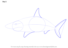 Learn How To Draw A Blacktip Shark Fishes Step By Step Drawing Tutorials Dark magic is believed to raise a black magician's energy, they can then manipulate the electromagnetic or psychic energy of the world around them for their own gain. learn how to draw a blacktip shark