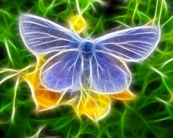 Gratis untuk komersial tidak perlu kredit bebas hak cipta. Wallpaper Kupu Kupu Moths And Butterflies Butterfly Insect Blue Invertebrate 62959 Wallpaperuse