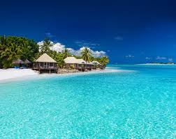 Choose from 50+ tropical island graphic resources and download in the form of png, eps, ai or summer holiday lifebelt and exotic palm trees on tropical island background blue ocean landscape. 957 996 Tropical Island Photos Free Royalty Free Stock Photos From Dreamstime