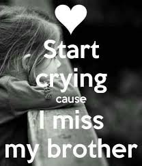 The language is also spoken by linguistic minorities in the states of maharashtra. I Miss You Brother Brother Sister Love Quotes Miss You Brother Quotes Big Brother Quotes
