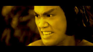 A Tribute to Liu Chia-liang