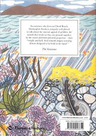 The Book Of Pebbles From Prehistory To The Pet Shop Boys By Lewin Angie 9780500023754 Brownsbfs