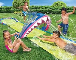 J'ai acheté des pions de jeux de dame en bois. Jeux Aquatiques Pour La Cour Canadian Tire