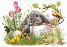 Wünsche zum frohe ostern 2021. Frohe Ostern Wunsche Ich Allen Von Ganzem Herzen Foto Bild Ostern Kultur Motive Bilder Auf Fotocommunity
