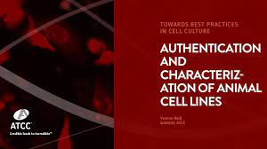 We did not find results for: Authentication And Characterization Of Animal Cell Lines Atcc
