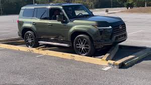 Image result for Nori Green 2023 LC