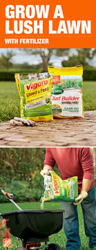 Vigoro lawn fertilizers provide quick greening and extended feeding for thick green growth. When Summer Comes Around You Will Want To Sit Outside And Admire Your Lawn Crafted With Care Take Time T Spring Lawn Fertilizer Diy Yard Indoor Flower Garden