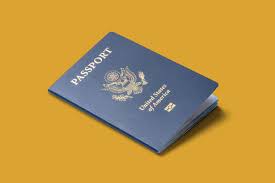 نتیجه جستجوی لغت [passport] در گوگل