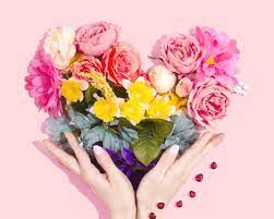 If you are not sure about it then play safe. Reasons To Send Flowers To Someone You Love Feedster