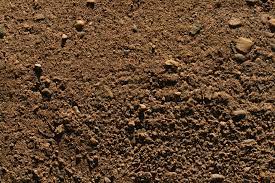 Pin By Cassie Casey On Project11 Gw Dirt Texture Free Textures How To Dry Basil
