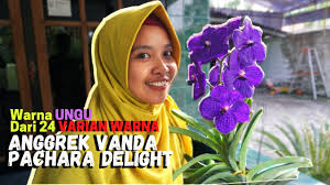 Maybe you would like to learn more about one of these? Tentang Anggrek Anggrek Vanda Pachara Delight Dari 24 Varian Warna Ini Yang Warna Ungu Youtube