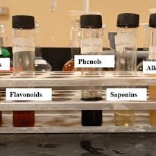 Image result for Discopodium penninervium