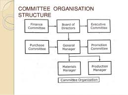 Organisation Organisation Structures