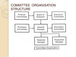 organisation organisation structures