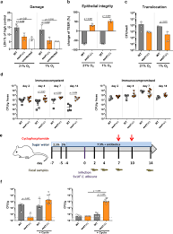 Please click here (179 kb) for useful instructions to optimize the pdf file size while affixing the digital signature certificate(dsc). Rapid Proliferation Due To Better Metabolic Adaptation Results In Full Virulence Of A Filament Deficient Candida Albicans Strain Nature Communications