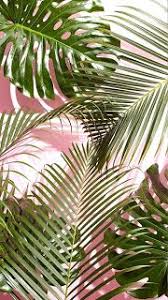 Maybe you would like to learn more about one of these? Ø£Ø¬Ù…Ù„ Ø®Ù„ÙÙŠØ§Øª Ø¨ÙŠÙ†ØªØ±Ø³Øª Ø®Ù„ÙÙŠØ§Øª Ø§ÙŠÙÙˆÙ† 12 Lock Screen Iphone Wallpaper Pinterest Plant Wallpaper Vintage Flower Prints Iphone Wallpaper