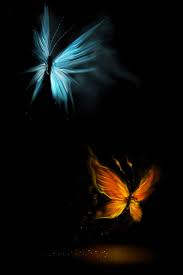 Beautiful Glowing Butterflies Android Wallpaper Butterfly Wallpaper New Wallpaper Hd Beautiful Butterflies