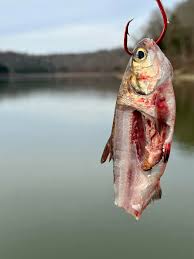 Robert Mason Dixon added a new photo.