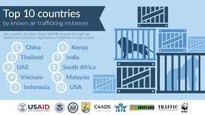 Public transportation plays an important role in the global effort towards using sustainable transport. Wildlife Traffickers Highly Dependent On Commercial Air Transport