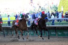 Thoroughbred pedigree for medina spirit, progeny, and female family reports from the thoroughbred horse pedigree query. Hkjyf9faib Ugm