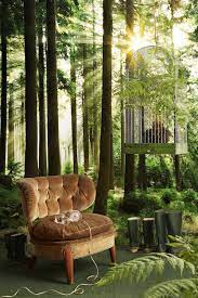 behang bos en bomen photowall sunbeam through trees behang bos behang fotobehang