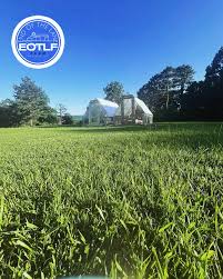 Abe Haislop (@a_buckeye_n_bluegrass) • Instagram photos and videos