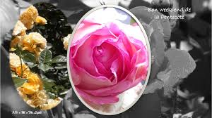 The holiday is also called white sunday or whitsunday or. La Vie En Rose Pour Un Bon Week End De La Pentecote Youtube