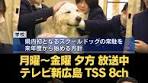 犬とのふれあいを通して生徒の心のケアなどにつなげる ...