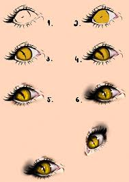 To make drawing an eye as easy as possible, youmay want to draw a rectangle with room for the eyes so that they are identical. Easy Cat Eye Drawing Novocom Top
